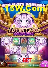 Experiência VIP 79bet